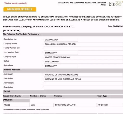 新加坡公司信息查询.jpg